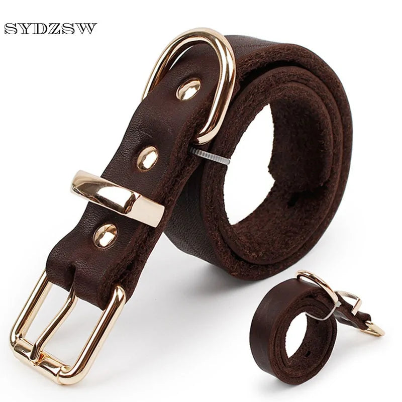 Leather Dog Collar Brown Small sold by Poopy and Poops General Pet Store poppyandpoops.ca