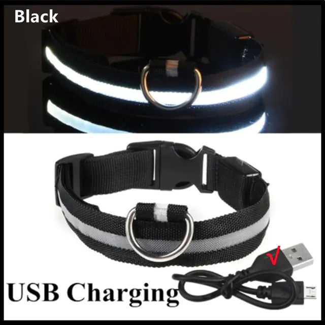 Glowing Dog Collar Black USB Charging Extra Extra Large Neck 43-62 CM rubber sold by Poopy and Poops General Pet Store poppyandpoops.ca