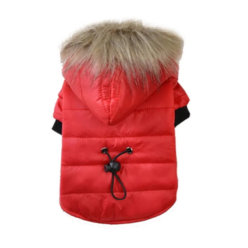 Flux Fur Warm Winter Small Dog Jackets Red Extra Small sold by Poopy and Poops General Pet Store poppyandpoops.ca