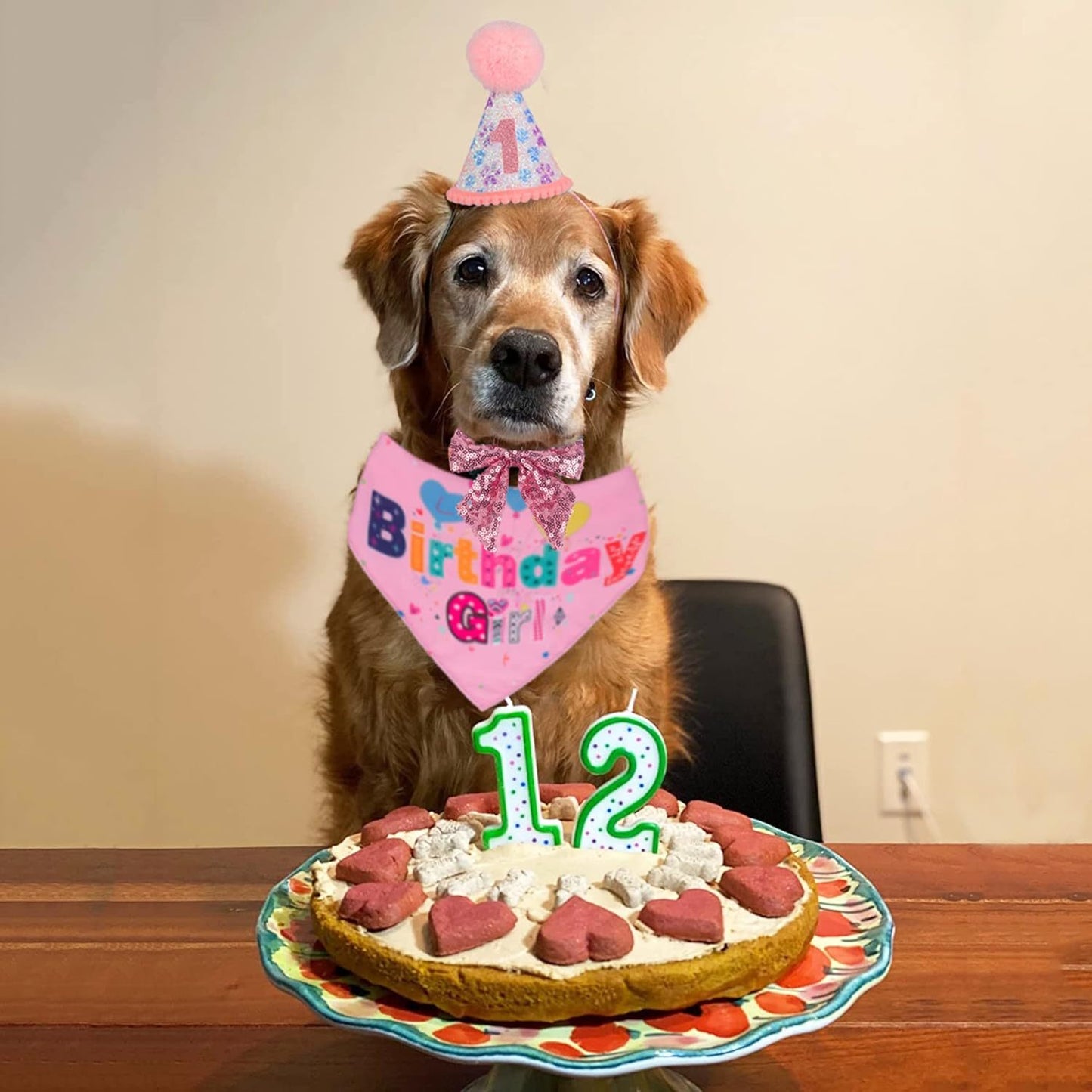 Dog Birthday Party Supplies Banner, Hat, Bandana, Bow