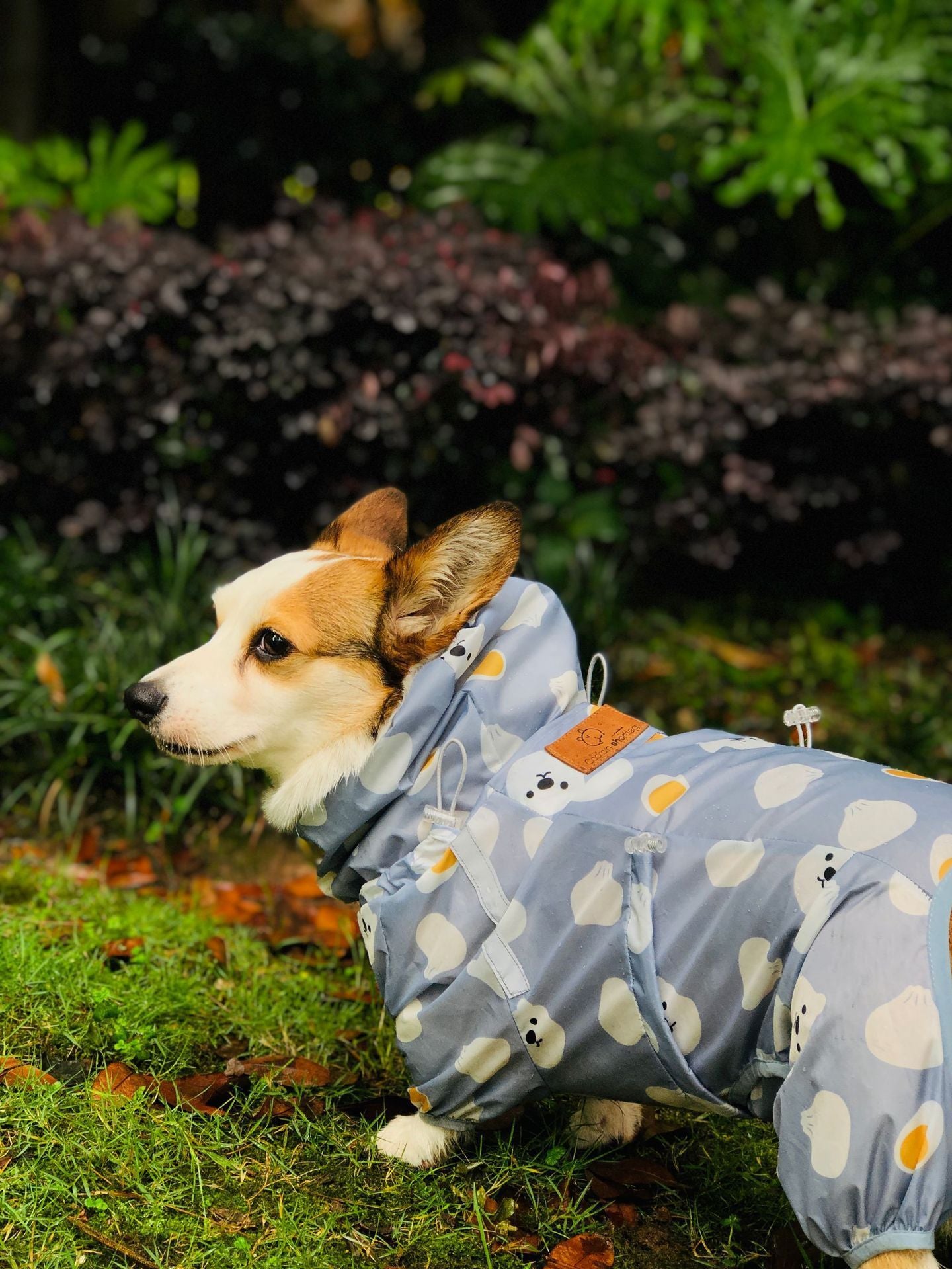 Short Leg Captain Golden Retriever Corgi Fully Wrapped Waterproof Raincoat Four-legged Dog Clothes