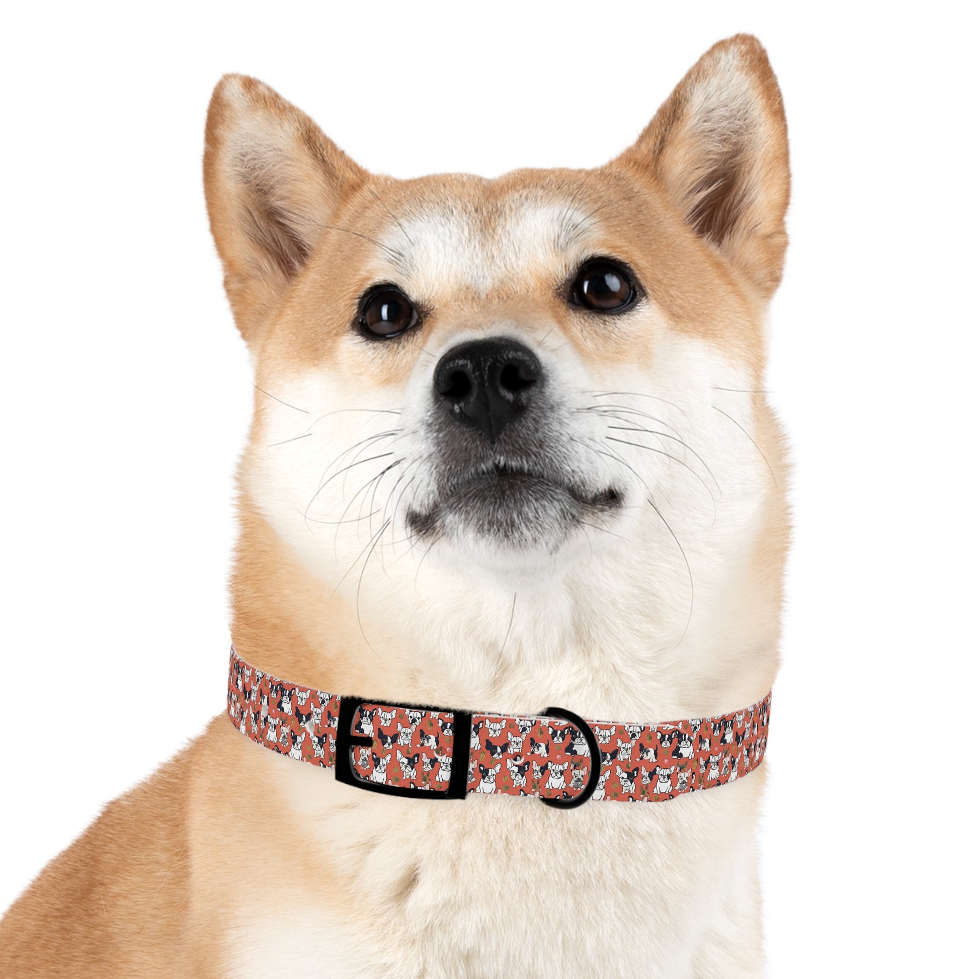 French Bull Dog Print Dog Collar sold by Poopy and Poops General Pet Store poppyandpoops.ca