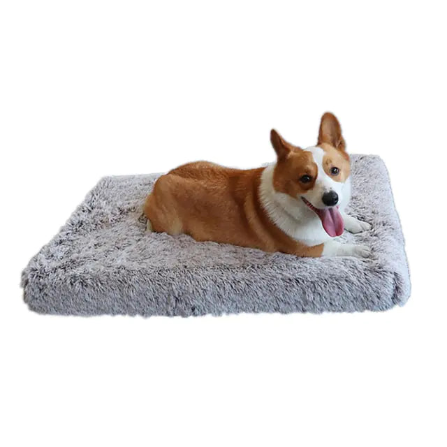 Plush Washable Dog Bed Coffee White sold by Poopy and Poops General Pet Store poppyandpoops.ca