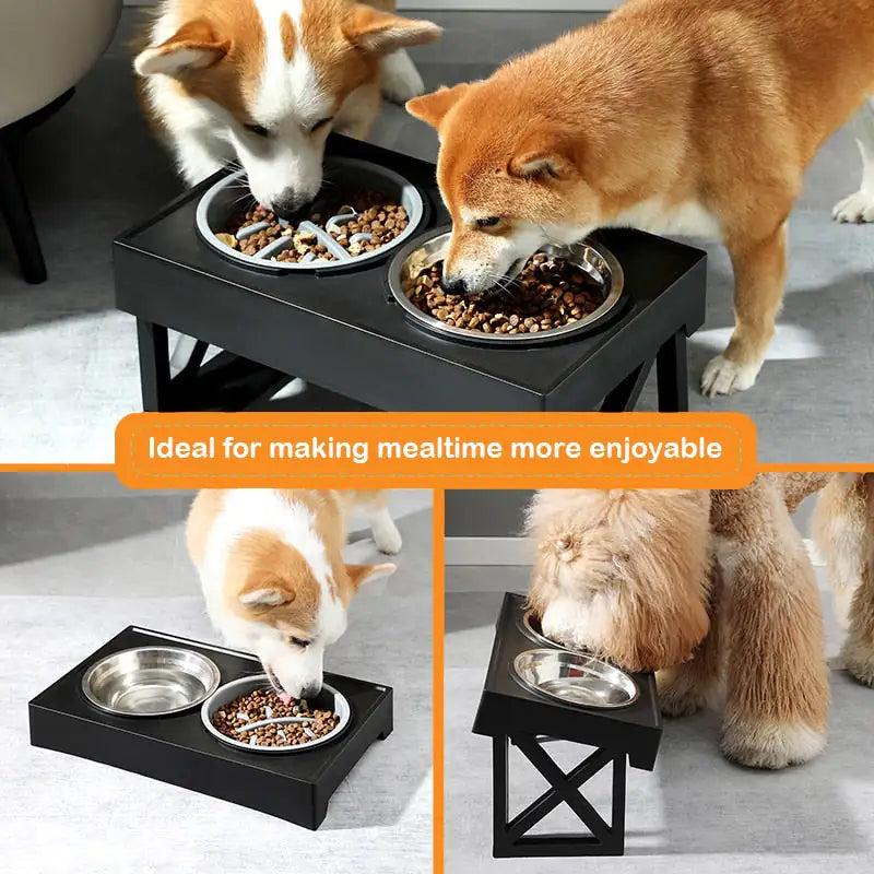 Angled Mess Free Dog Bowl sold by Poopy and Poops General Pet Store poppyandpoops.ca