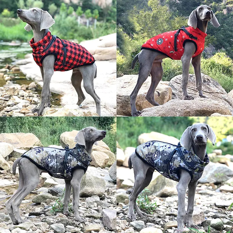 Water Resistant Winter Dog jacket sold by Poopy and Poops General Pet Store poppyandpoops.ca