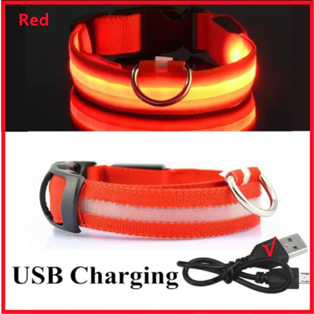 Glowing Dog Collar Red USB Charging Medium Neck 37-46 CM rubber sold by Poopy and Poops General Pet Store poppyandpoops.ca