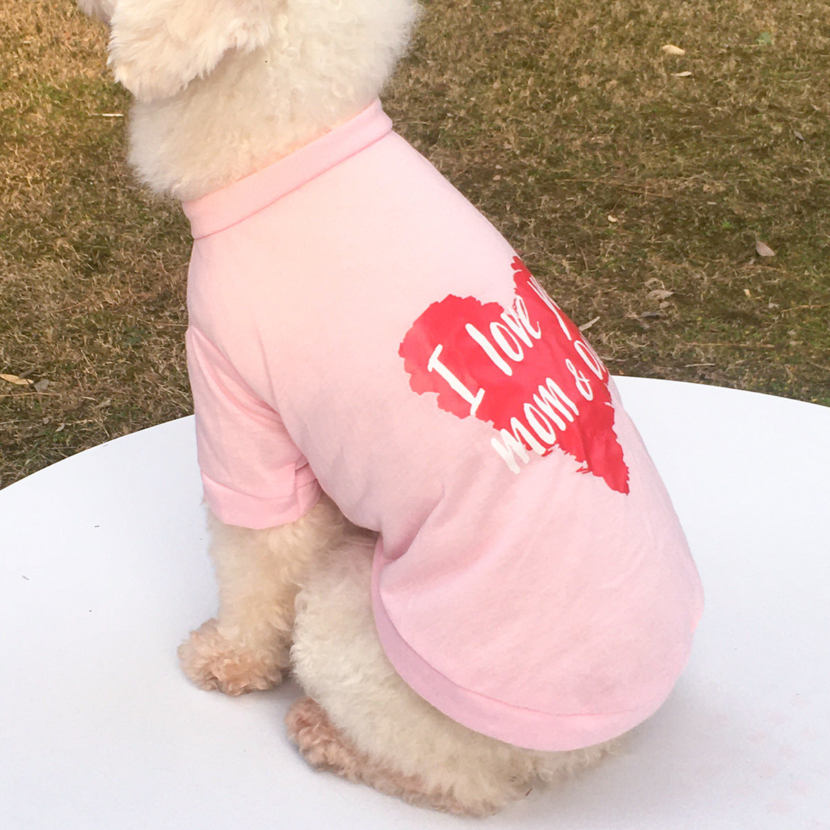 New Pet Clothes Dog Clothing Round Neck Printed Raglan Sleeve T-shirt