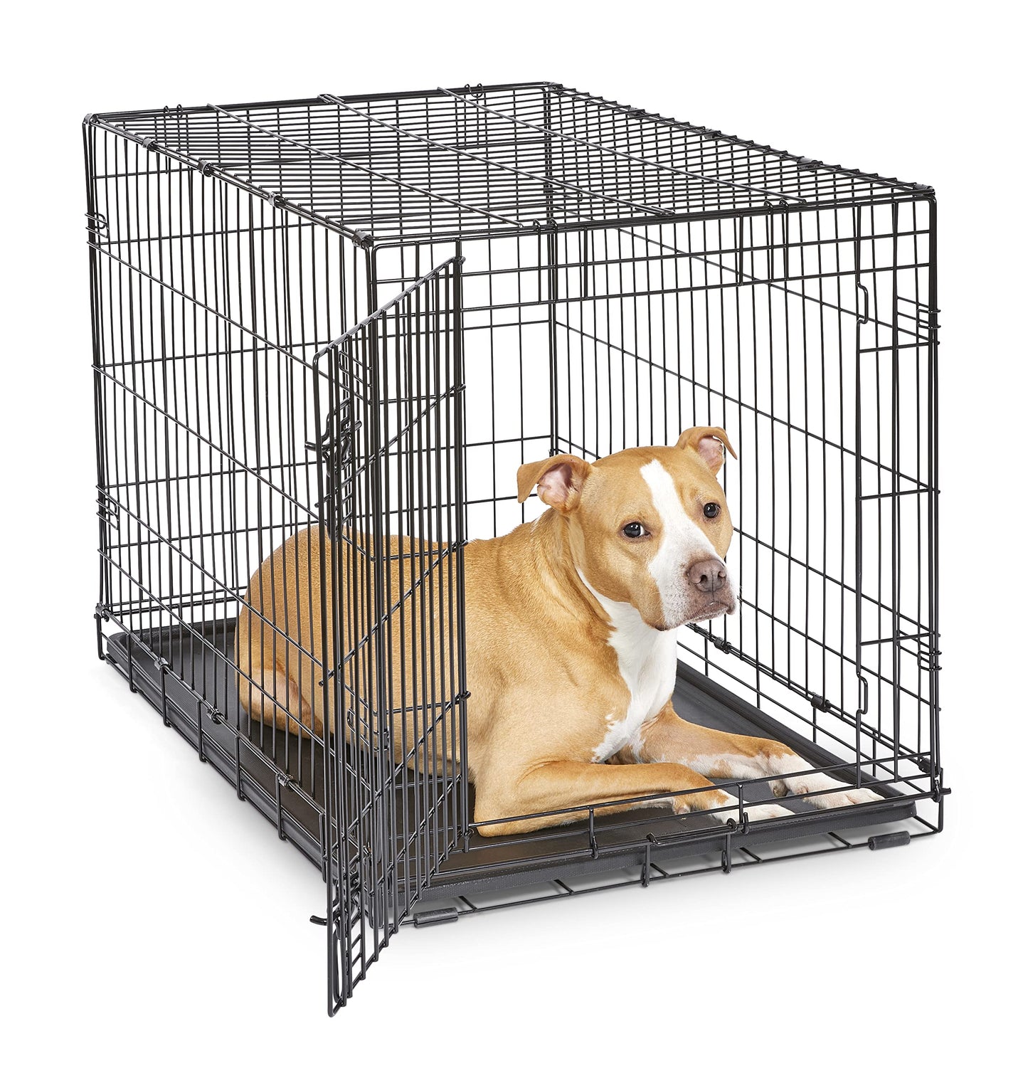 Folding Metal Dog Crate; Double Door 30" by New World Pet Products in Black