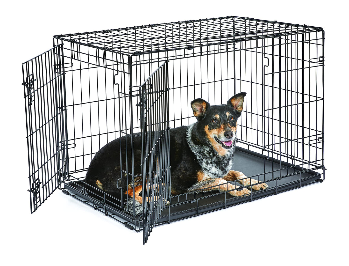 Folding Metal Dog Crate; Double Door 30" by New World Pet Products in Black