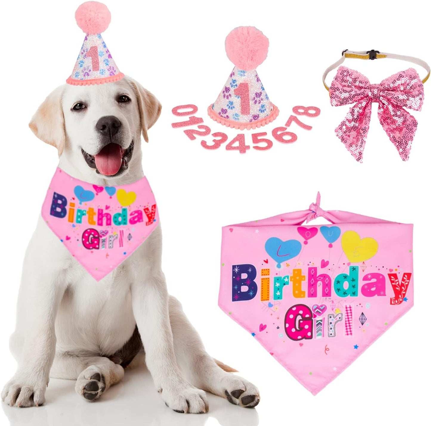 Dog Birthday Party Supplies Banner, Hat, Bandana, Bow