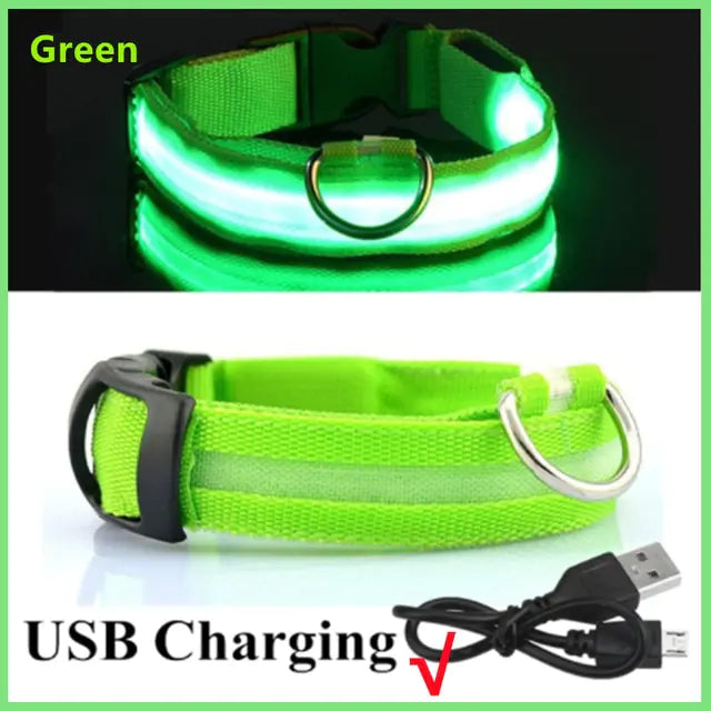 Glowing Dog Collar Green USB Charging Extra Large Neck 42-56 CM rubber sold by Poopy and Poops General Pet Store poppyandpoops.ca