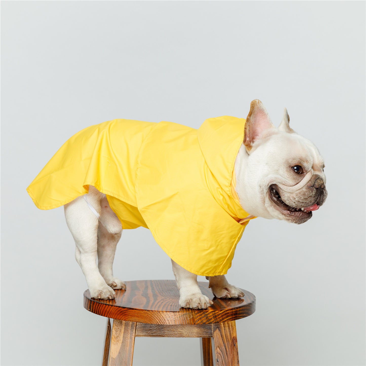 Pet Dog Reflective Strip Waterproof Raincoat in Yellow and Gray