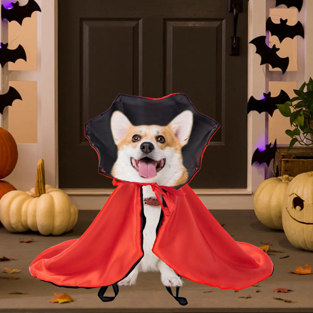 Pet Clothes Cloaks Capes Shawls Cats Dogs Vampire Halloween Costume sold by Poopy and Poops General Pet Store poppyandpoops.ca