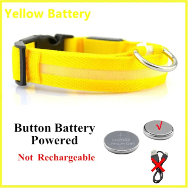 Glowing Dog Collar Yellow ButtonBattery Extra Extra Large Neck 43-62 CM rubber sold by Poopy and Poops General Pet Store poppyandpoops.ca