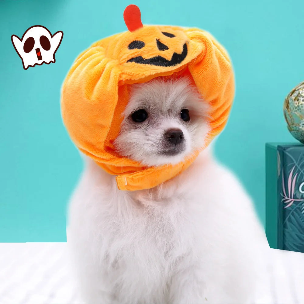 Cute Pet Pumpkin Hat Halloween Costume sold by Poopy and Poops General Pet Store poppyandpoops.ca