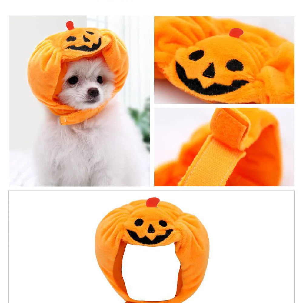 Cute Pet Pumpkin Hat Halloween Costume sold by Poopy and Poops General Pet Store poppyandpoops.ca