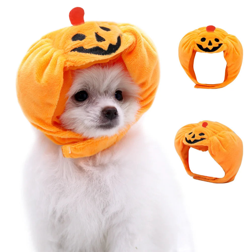 Cute Pet Pumpkin Hat Halloween Costume sold by Poopy and Poops General Pet Store poppyandpoops.ca