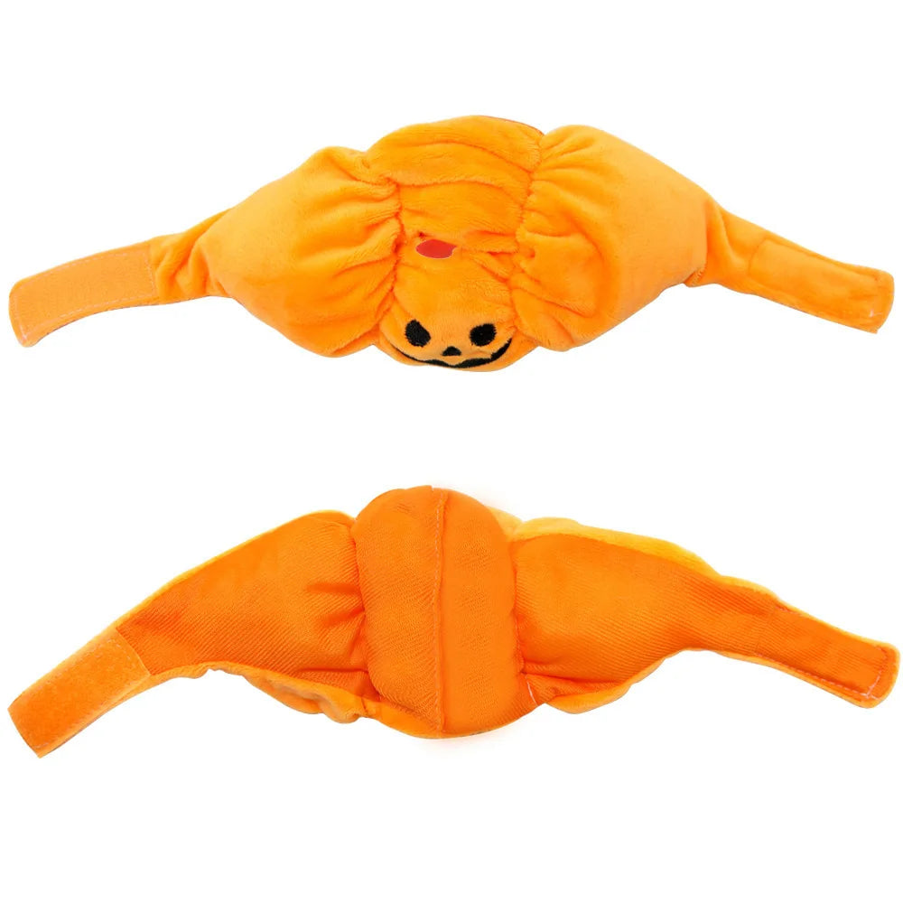 Cute Pet Pumpkin Hat Halloween Costume sold by Poopy and Poops General Pet Store poppyandpoops.ca