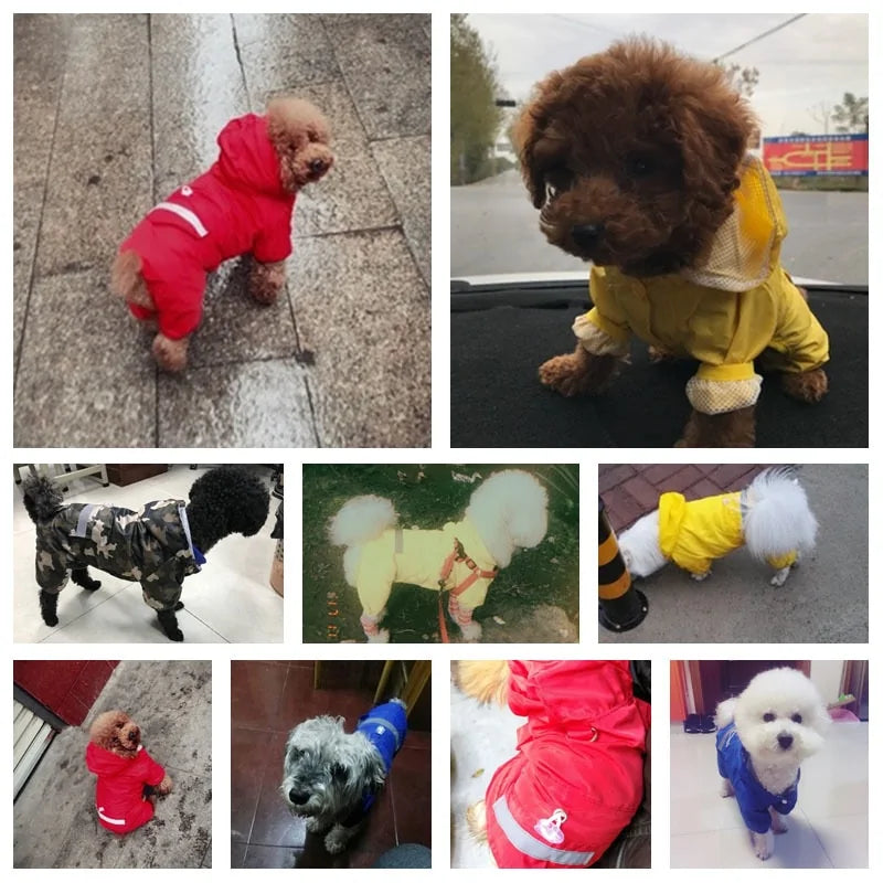 Durable Waterproof Dog Raincoat sold by Poopy and Poops General Pet Store poppyandpoops.ca