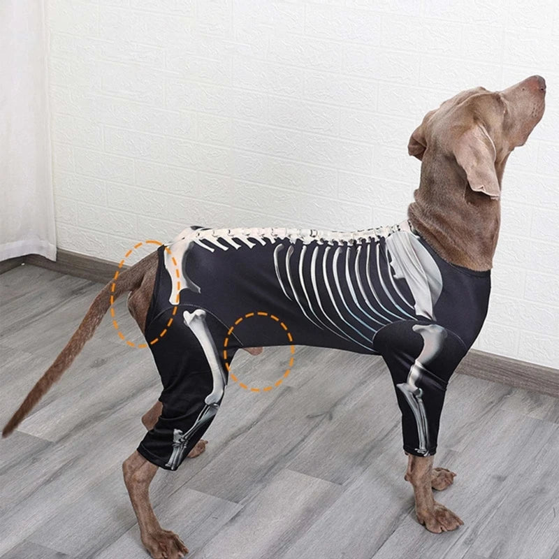 Skeleton Large Dog T-Shirt Halloween Costume sold by Poopy and Poops General Pet Store poppyandpoops.ca