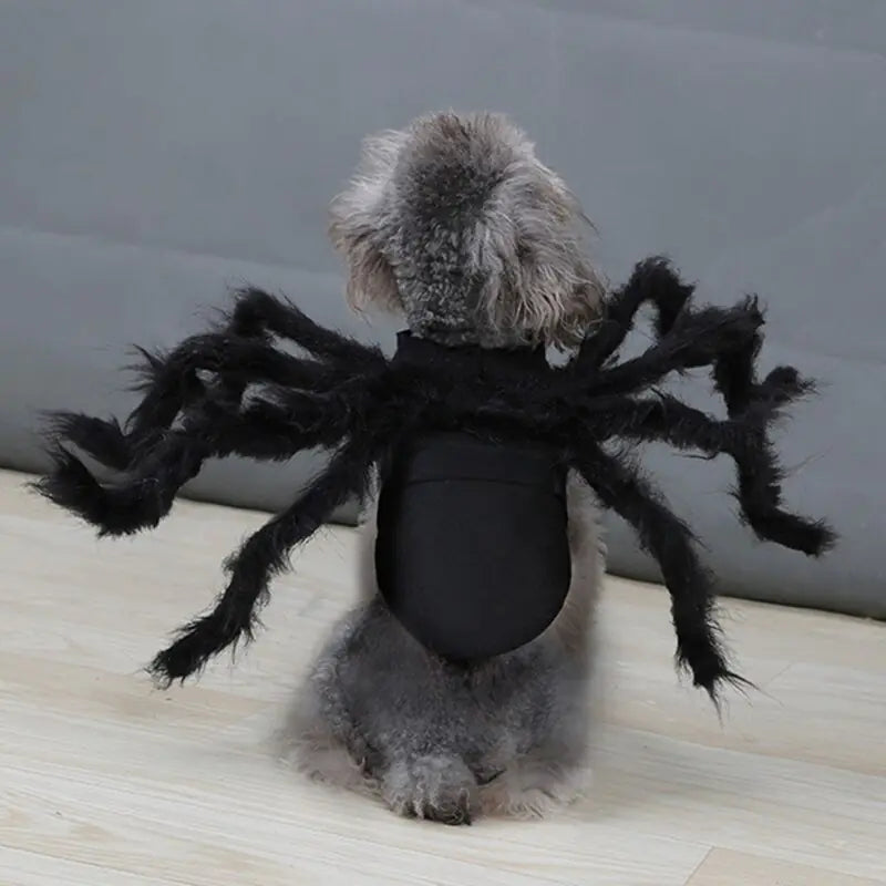 Halloween Spider Costume for Pets sold by Poopy and Poops General Pet Store poppyandpoops.ca