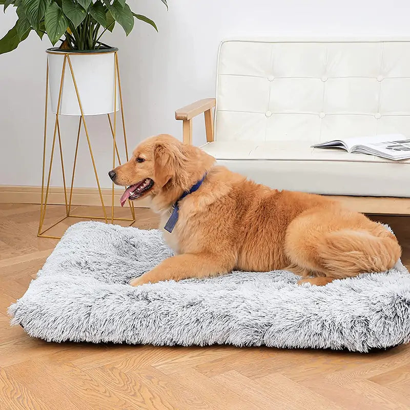 Plush Washable Dog Bed sold by Poopy and Poops General Pet Store poppyandpoops.ca