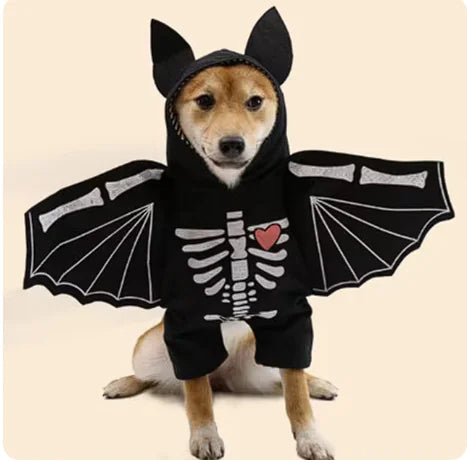 Halloween Bat Costume for Dogs Large sold by Poopy and Poops General Pet Store poppyandpoops.ca