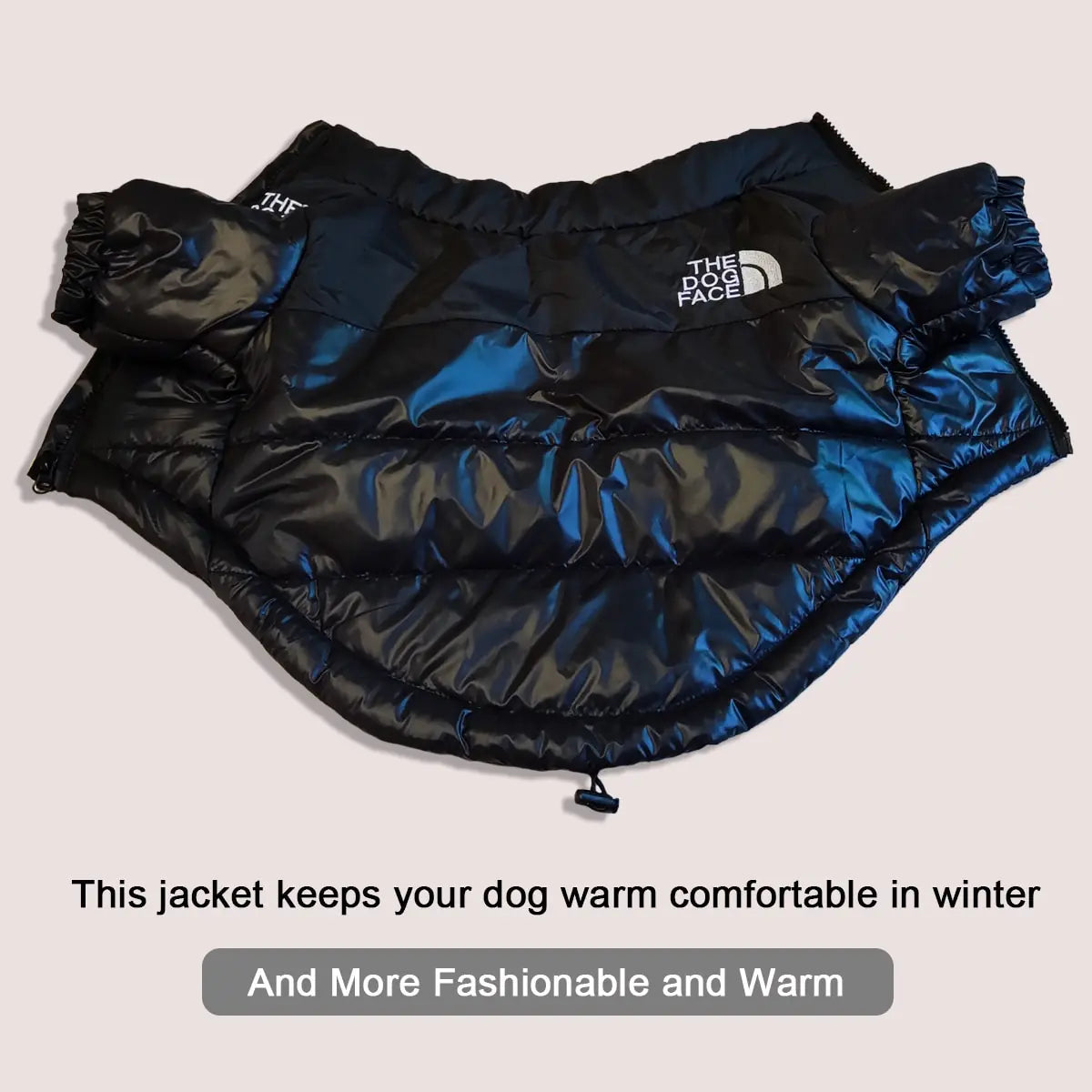 Warm Windproof Winter Dog Clothes sold by Poopy and Poops General Pet Store poppyandpoops.ca