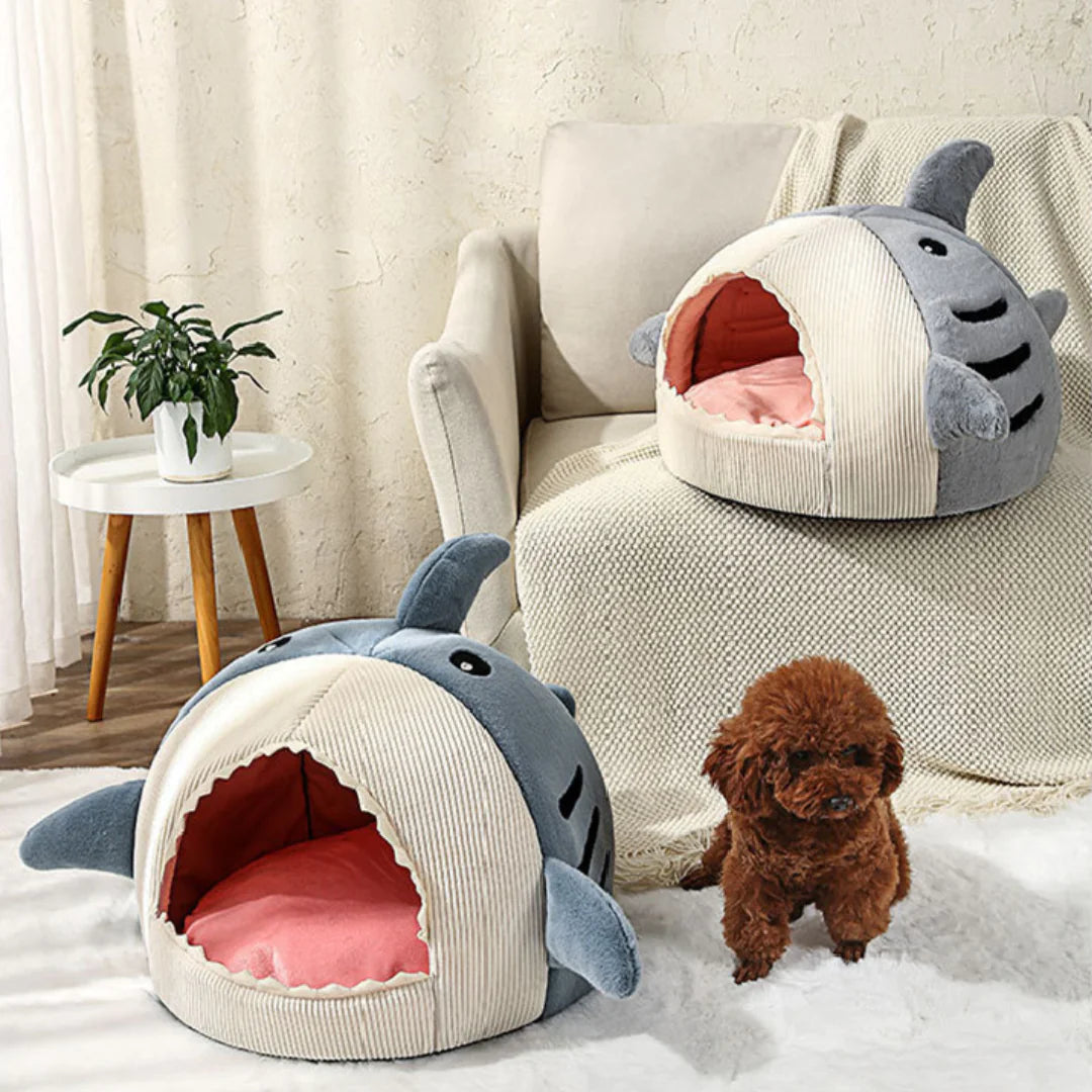 The Shark Pet Dog Bed sold by Poopy and Poops General Pet Store poppyandpoops.ca