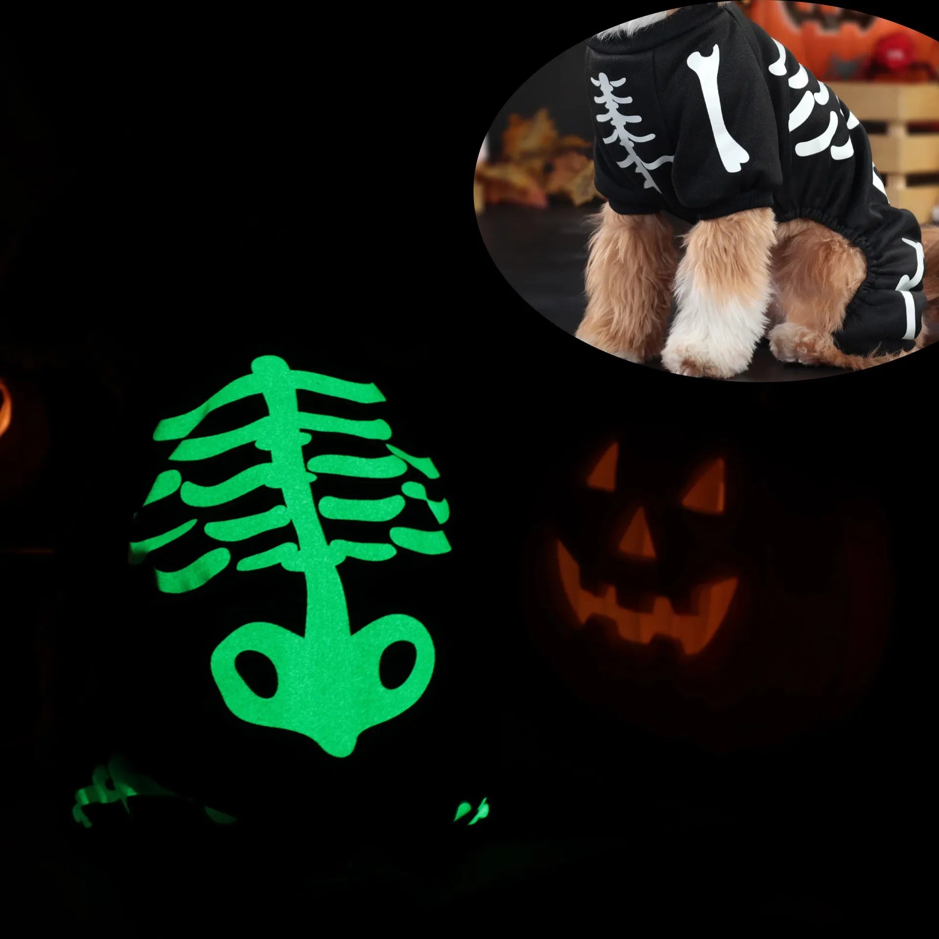 Glow Dark Skeleton Halloween Dog Costume Onesie sold by Poopy and Poops General Pet Store poppyandpoops.ca