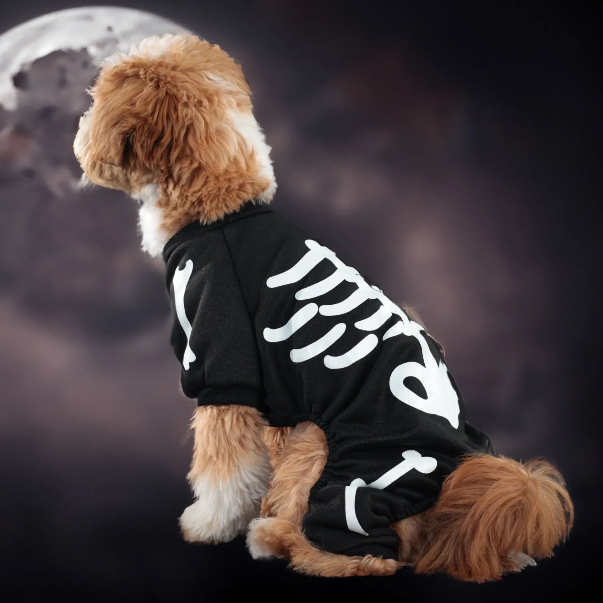 Glow Dark Skeleton Halloween Dog Costume Onesie sold by Poopy and Poops General Pet Store poppyandpoops.ca