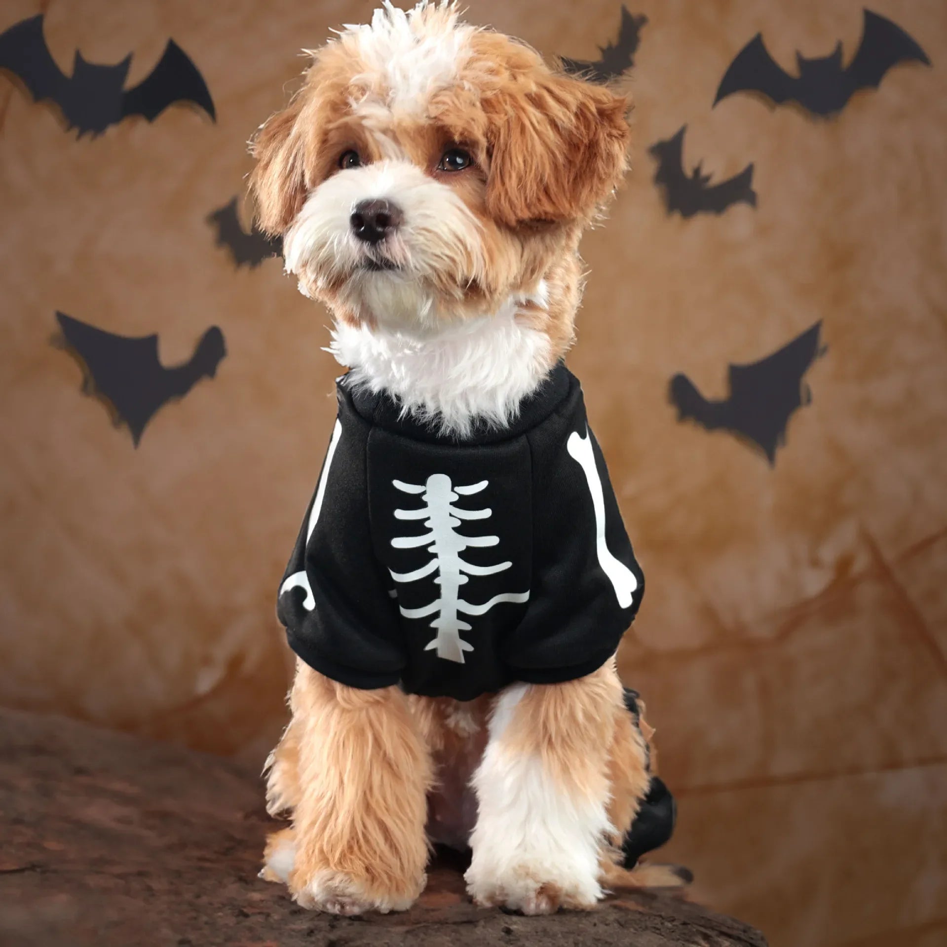 Glow Dark Skeleton Halloween Dog Costume Onesie sold by Poopy and Poops General Pet Store poppyandpoops.ca