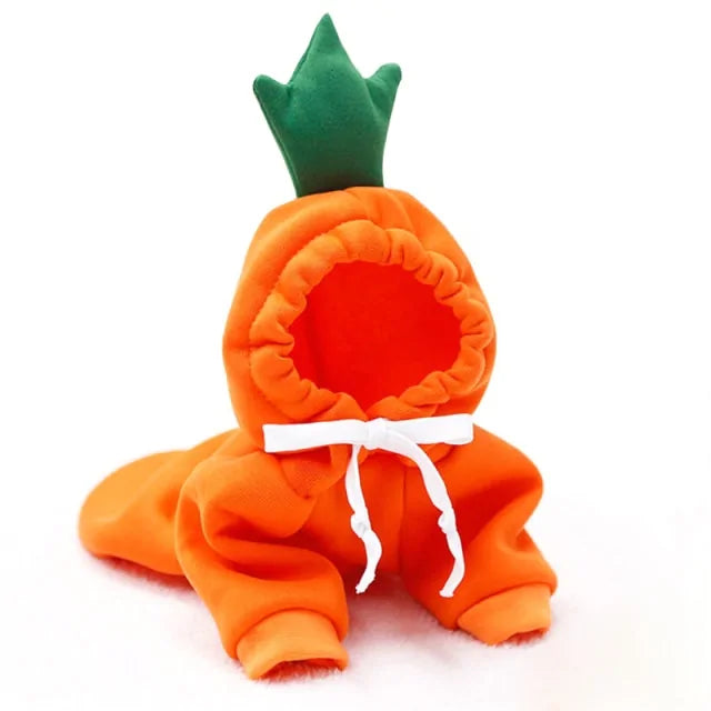 Warm Dog Winter Hoodie Costume Cute Fruit Dog Orange Small sold by Poopy and Poops General Pet Store poppyandpoops.ca