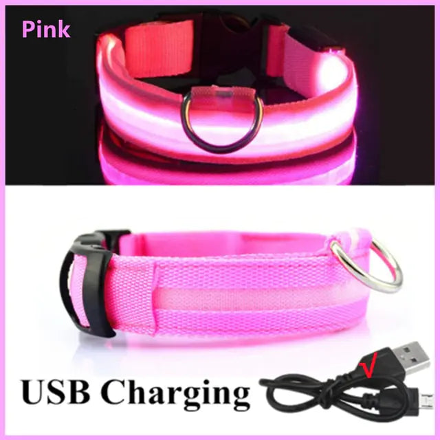 Glowing Dog Collar Pink USB Charging Small Neck 34-41 CM rubber sold by Poopy and Poops General Pet Store poppyandpoops.ca