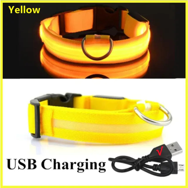 Glowing Dog Collar Yellow USB Charging Extra Extra Large Neck 43-62 CM rubber sold by Poopy and Poops General Pet Store poppyandpoops.ca