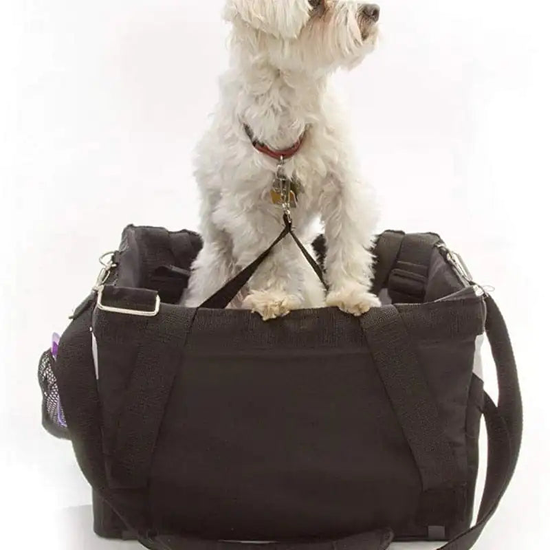 Dog Bicycle Basket Carrier sold by Poopy and Poops General Pet Store poppyandpoops.ca