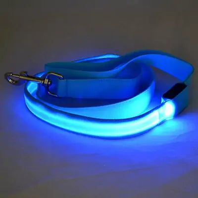 Glow In Dark Dog Leash Blue sold by Poopy and Poops General Pet Store poppyandpoops.ca