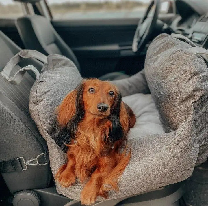 Paws and Pups™ Travel Bed sold by Poopy and Poops General Pet Store poppyandpoops.ca