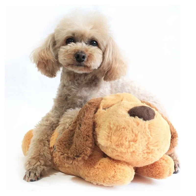 Heartbeat Puppy Behavioral Training Plush Pet Toy sold by Poopy and Poops General Pet Store poppyandpoops.ca