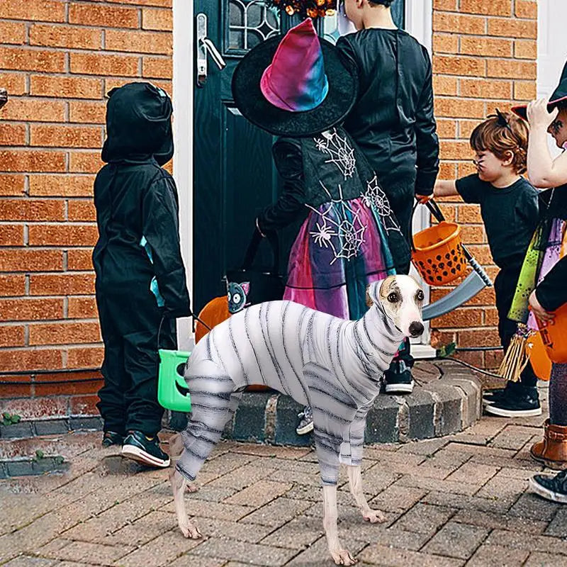 Mummy Dog Costume Portable Mummy Skeleton Pet Clothes Pet Cosplay Costume Funny Halloween Cat Clothes Reusable Dog Halloween sold by Poopy and Poops General Pet Store poppyandpoops.ca