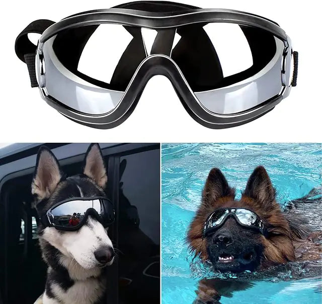 Adjustable Strap Dog Goggles Black sold by Poopy and Poops General Pet Store poppyandpoops.ca