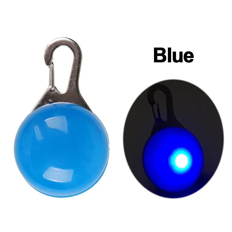 LED Pet Dog Tag sold by Poopy and Poops General Pet Store poppyandpoops.ca