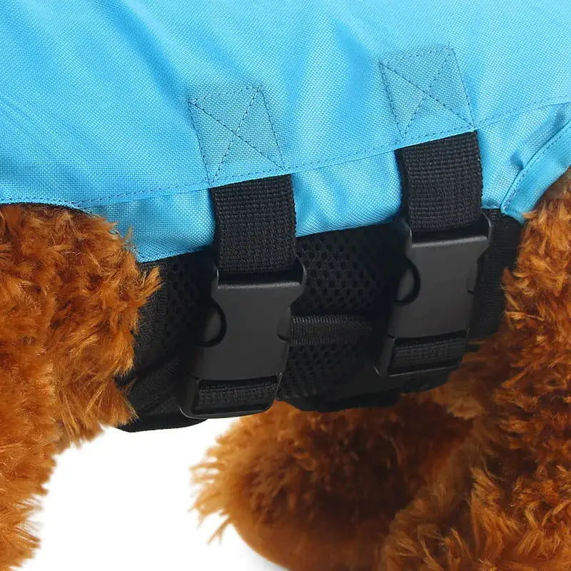 Shark Dog Life Vest sold by Poopy and Poops General Pet Store poppyandpoops.ca