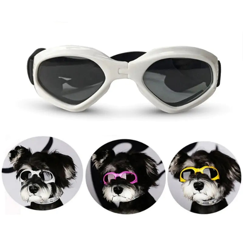 Dog Sunglasses sold by Poopy and Poops General Pet Store poppyandpoops.ca