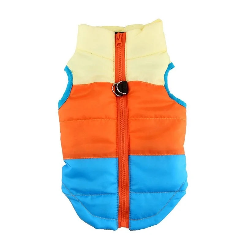 Winter Dog Coat Jacket Popsicle sold by Poopy and Poops General Pet Store poppyandpoops.ca