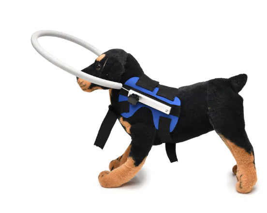 Blind Dog Bumper Collar Harness sold by Poopy and Poops General Pet Store poppyandpoops.ca