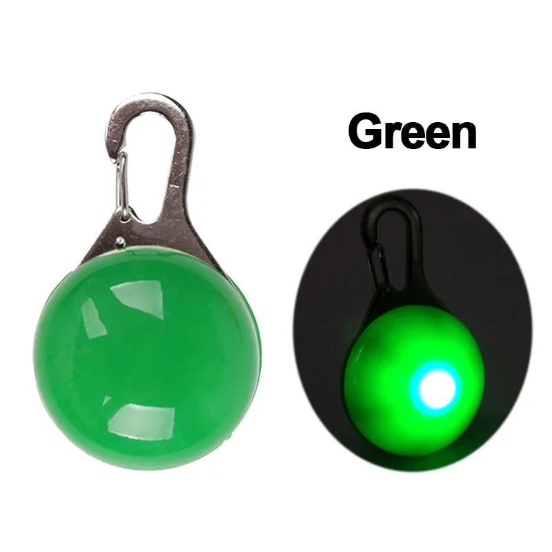 LED Pet Dog Tag sold by Poopy and Poops General Pet Store poppyandpoops.ca