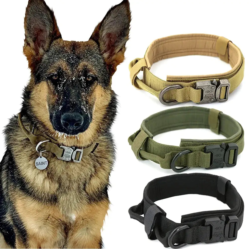 Premium Dog Collar and leash set sold by Poopy and Poops General Pet Store poppyandpoops.ca