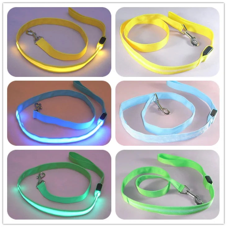 Glow In Dark Dog Leash sold by Poopy and Poops General Pet Store poppyandpoops.ca