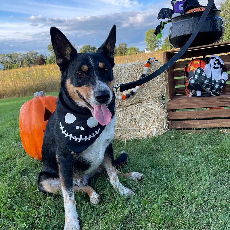 Skeleton Pet Dog Cat puppy Bandana Halloween eve Party Fancy Dress Costume accessory Trick or Treat decoration gift Photo props sold by Poopy and Poops General Pet Store poppyandpoops.ca